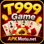 T999 Game